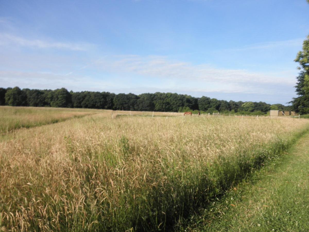 Clumber Lane End Farm Bed & Breakfast Worksop Luaran gambar