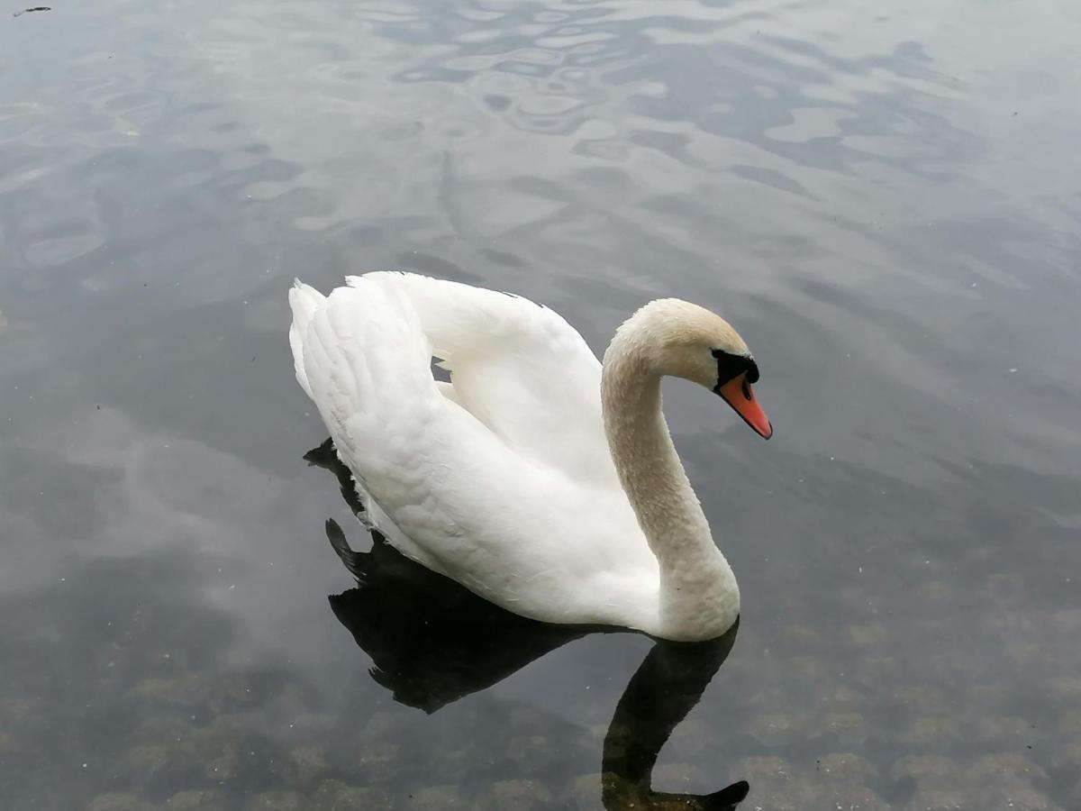 Clumber Lane End Farm Bed & Breakfast Worksop Luaran gambar