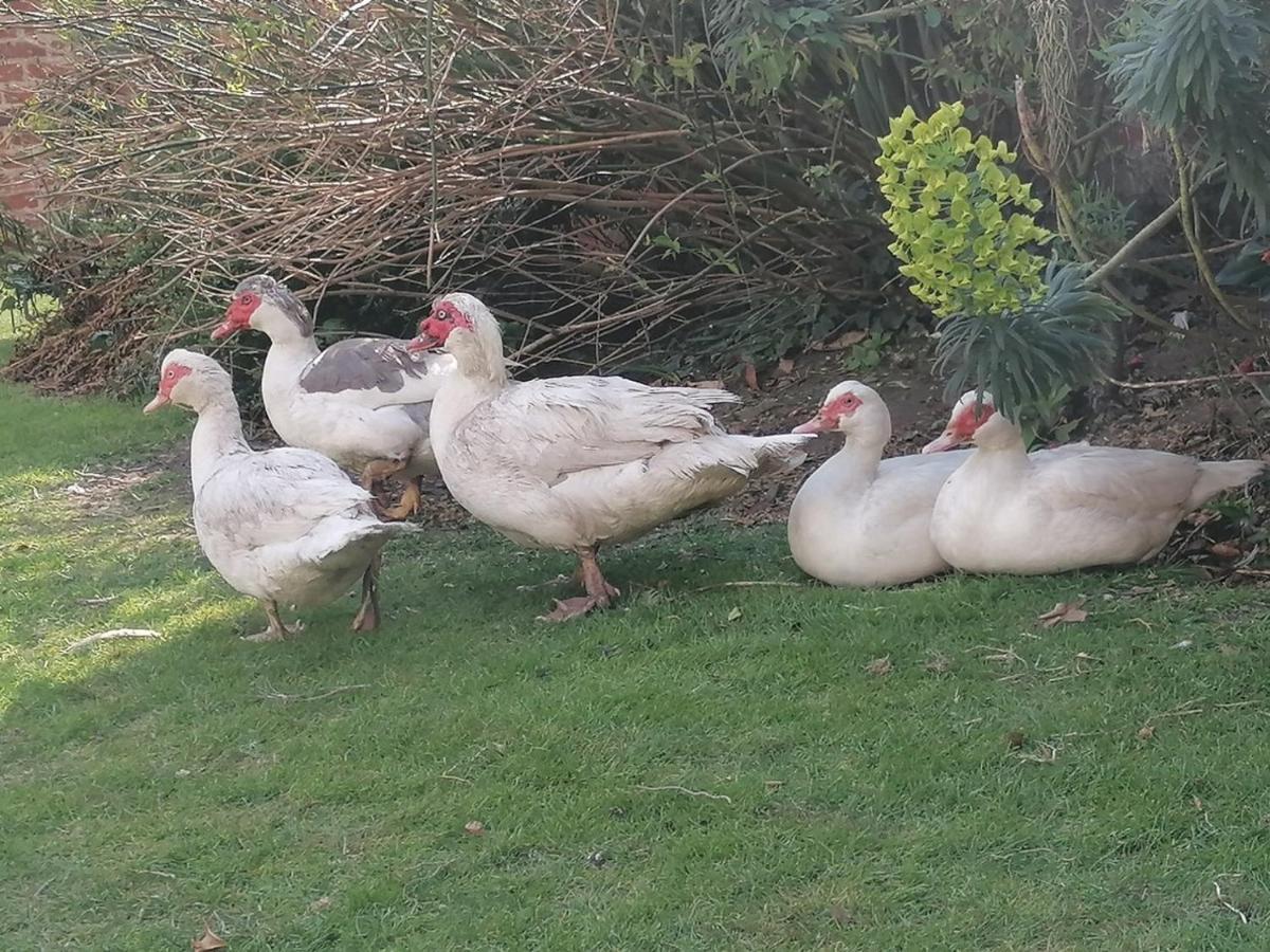 Clumber Lane End Farm Bed & Breakfast Worksop Luaran gambar